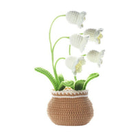 Linglan Potted Plants