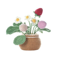 Strawberry Pot