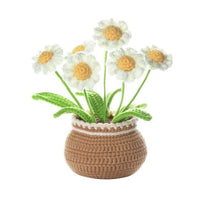 Daisy Pot