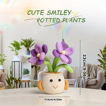 5 Potted Flowers Set Crochet Pattern