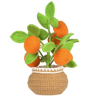 Orange Potted Plant