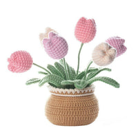 Tulip Potted Plant