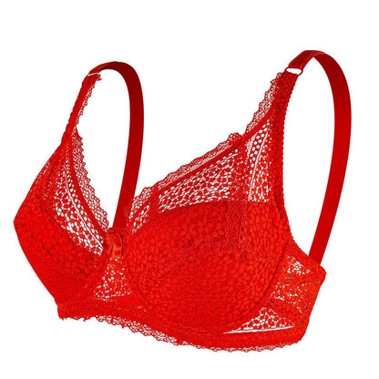 Plus Size Underwire Push Up Lace Support Bra