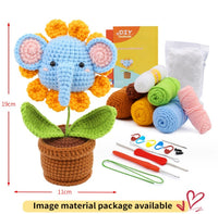 Potted Elephant Plant