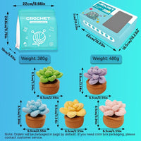 Succulent Combination