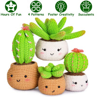 Succulents