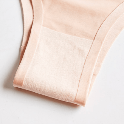 Seamless Silky Underwear Panty
