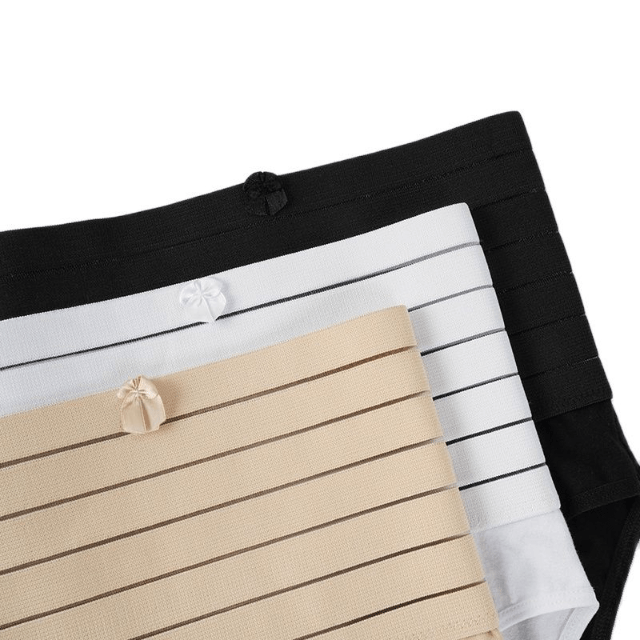 Women High Waist Shaping Brief With Waist Bands